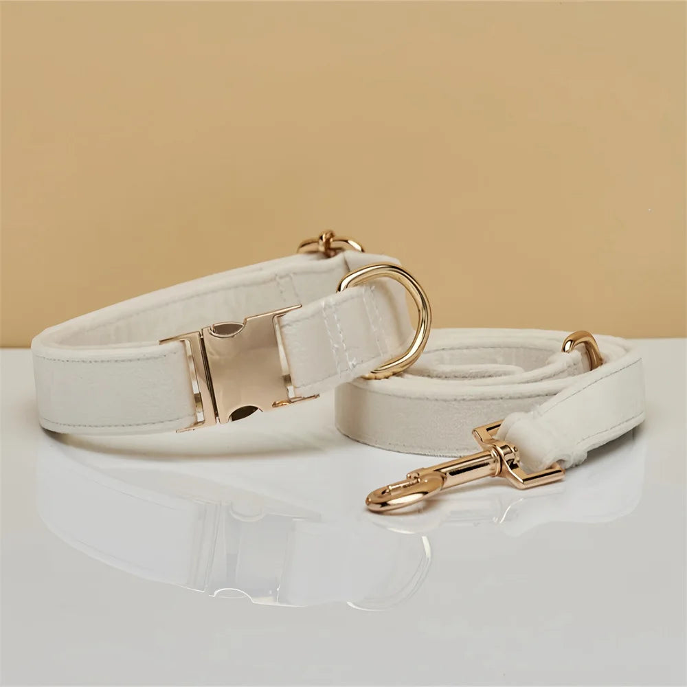 Wholesale Luxury Velvet Dog Collar Custom Personalized Lettering Gold-Plated Metal Buckle Reflective Features Bow Tie OEKO-TEX