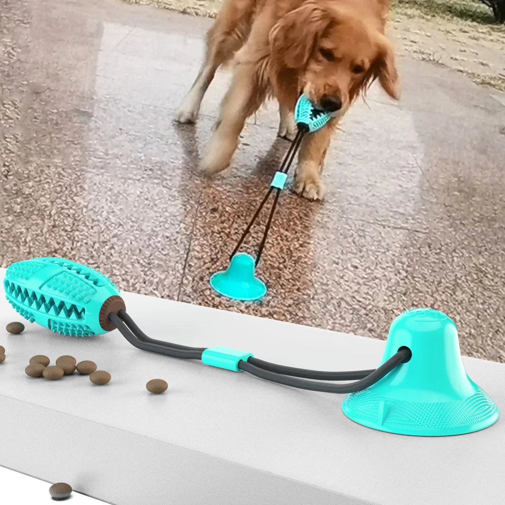 Brand New Best Supplies Crinkle for Small Media Dog Toys Accessories Smart Pet Toy Wholesaler Price