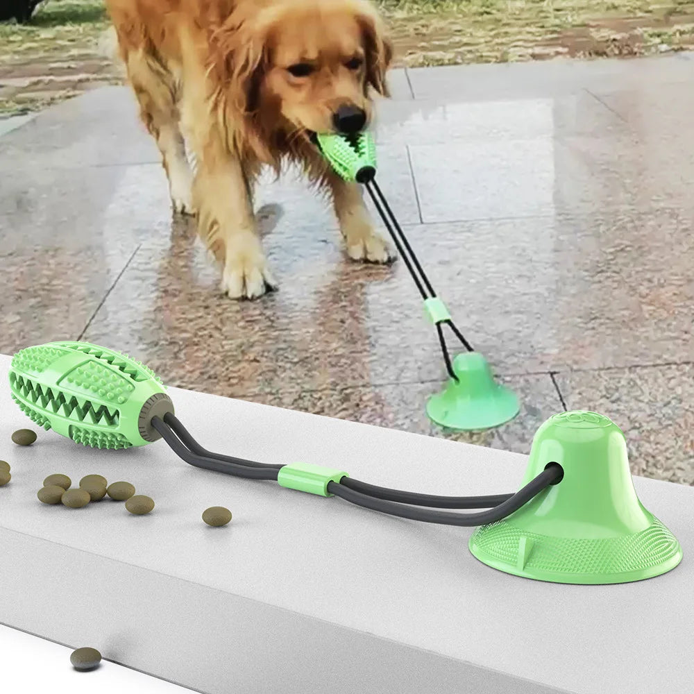 Brand New Best Supplies Crinkle for Small Media Dog Toys Accessories Smart Pet Toy Wholesaler Price