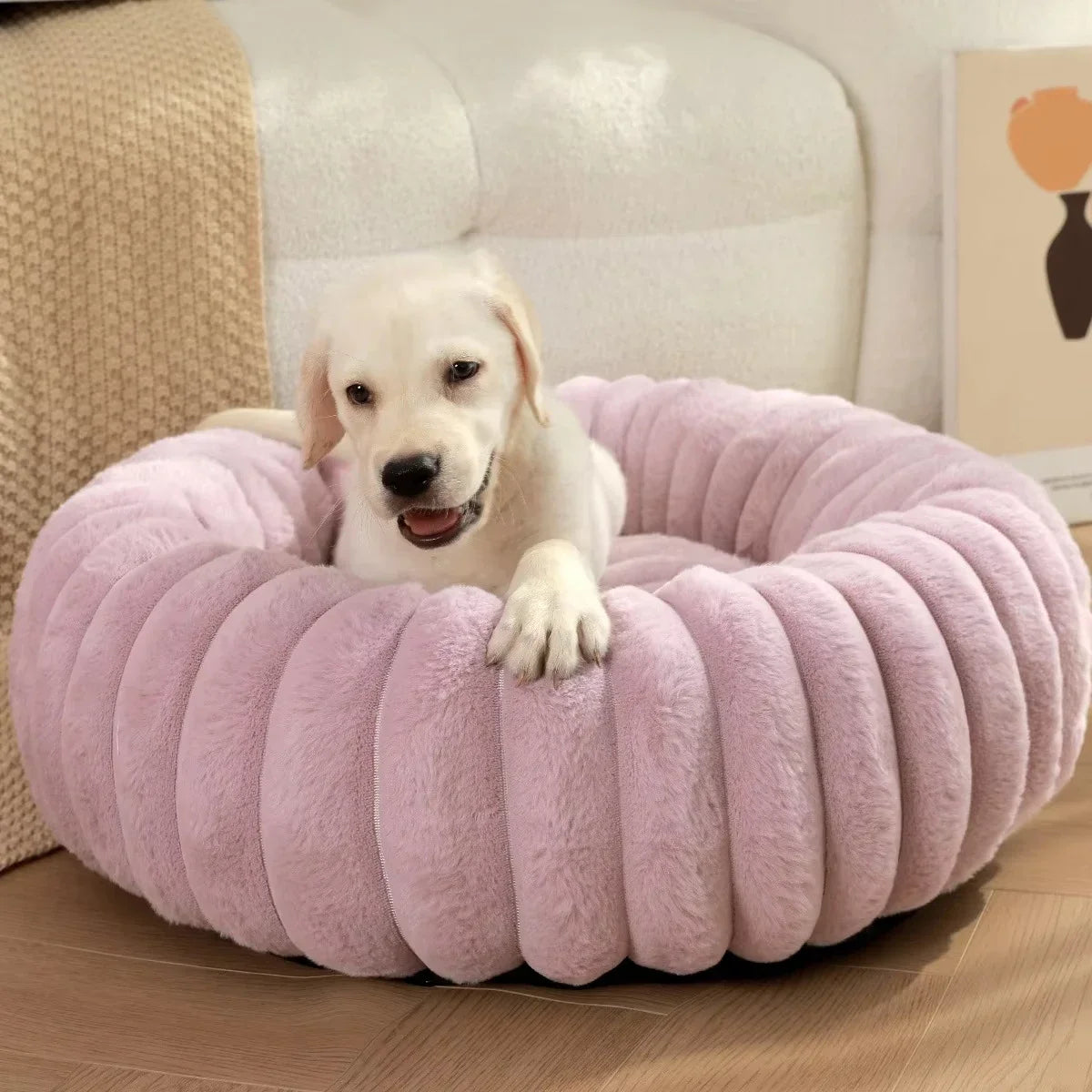 Cozy Cuddle Pet Bed